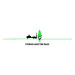 Steven's Large Tree Service